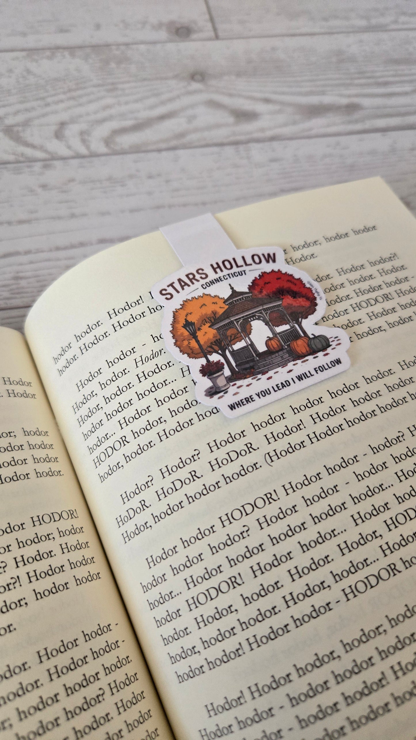 Stars Hollow Magnetic Bookmark